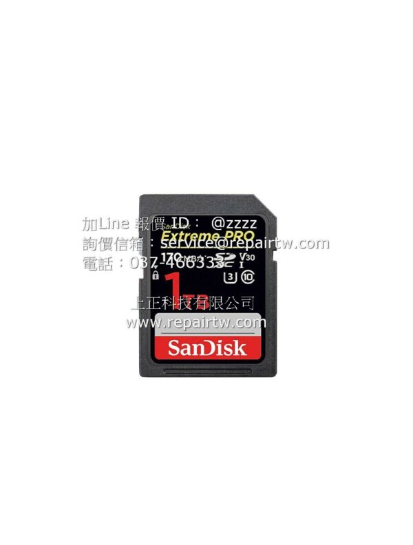SanDisk  SanDisk 1T 170MBs