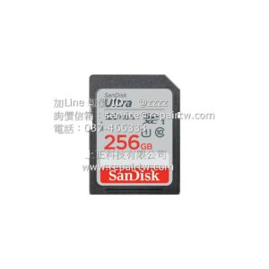 SanDisk  SanDisk 256GB 120MBs