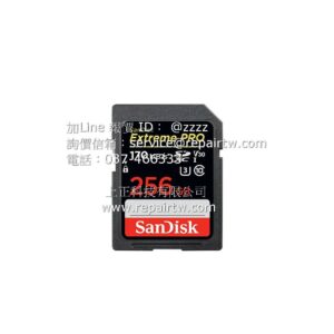 SanDisk  SanDisk 256GB 170MBs