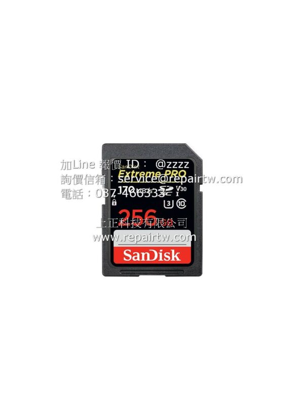 SanDisk  SanDisk 256GB 170MBs